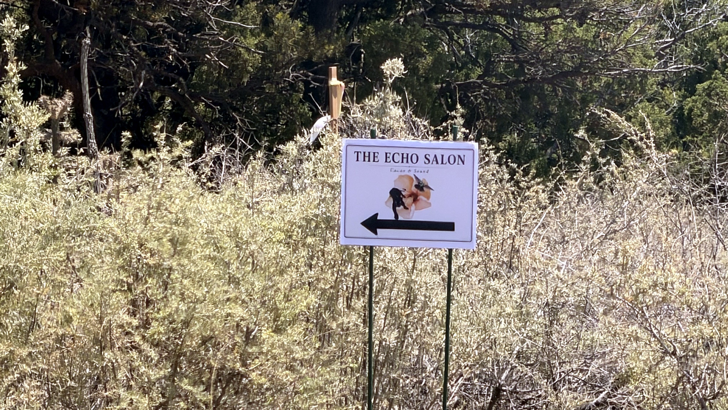Echo Salon arrival sign among high-desert plants