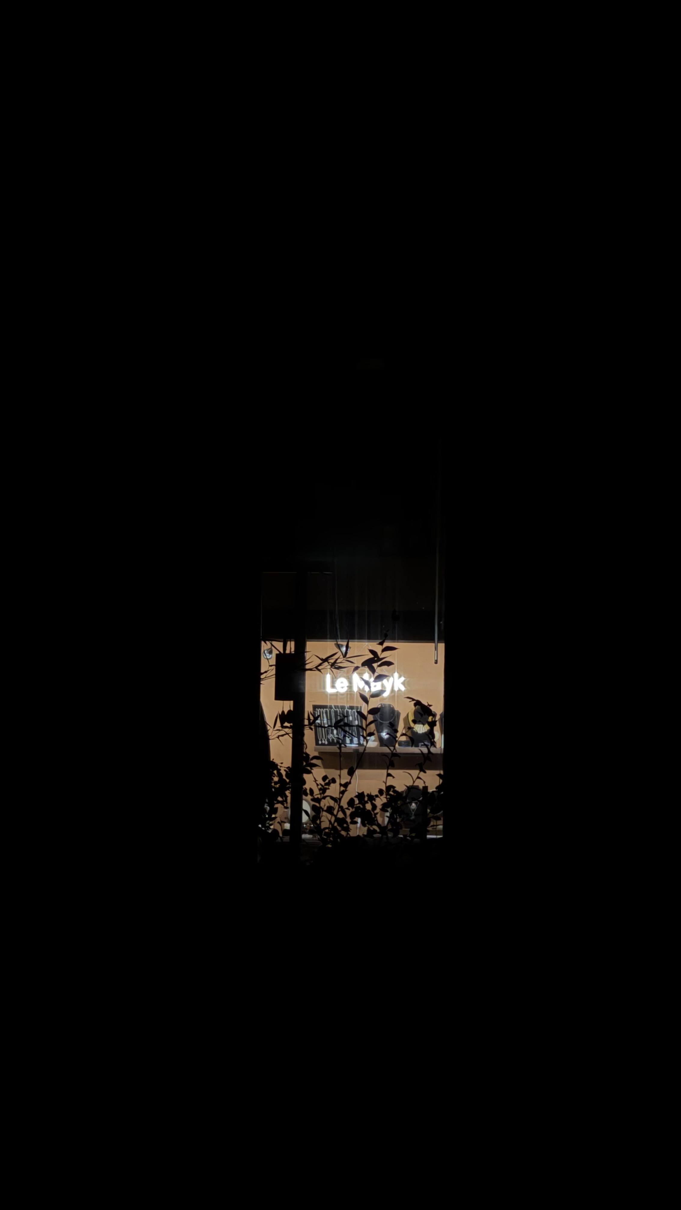 The illuminated LeMayk boutique glimpsed through foliage before dawn